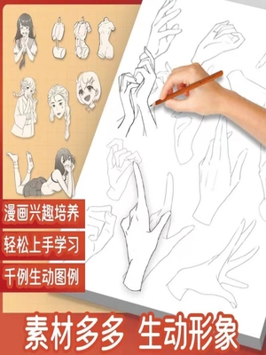 画画描摹本动漫人物漫画入门手绘练习册美少女古风线稿描绘本线稿