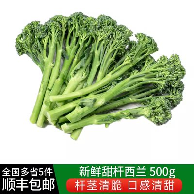 甜杆西兰苔500g 新鲜蔬菜芦笋西兰花时令蔬菜清甜脆嫩 满5件包邮