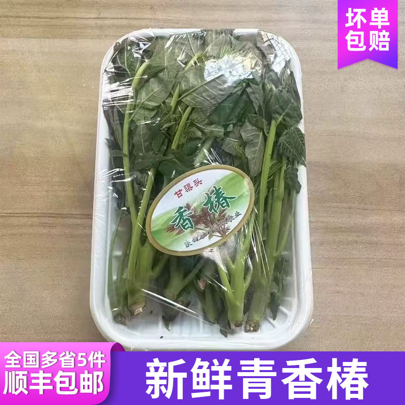 新鲜青香椿约100g/盒 春芽菜炒蛋香春头香椿菜 多省5件顺丰包邮