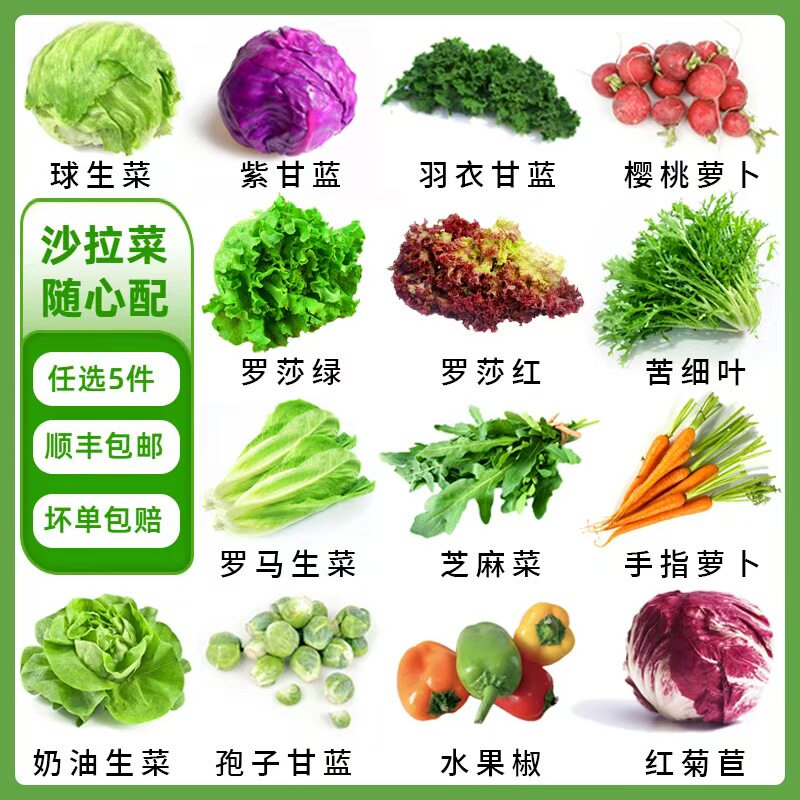 沙拉蔬菜可自选轻食材新鲜混合生叶菜类