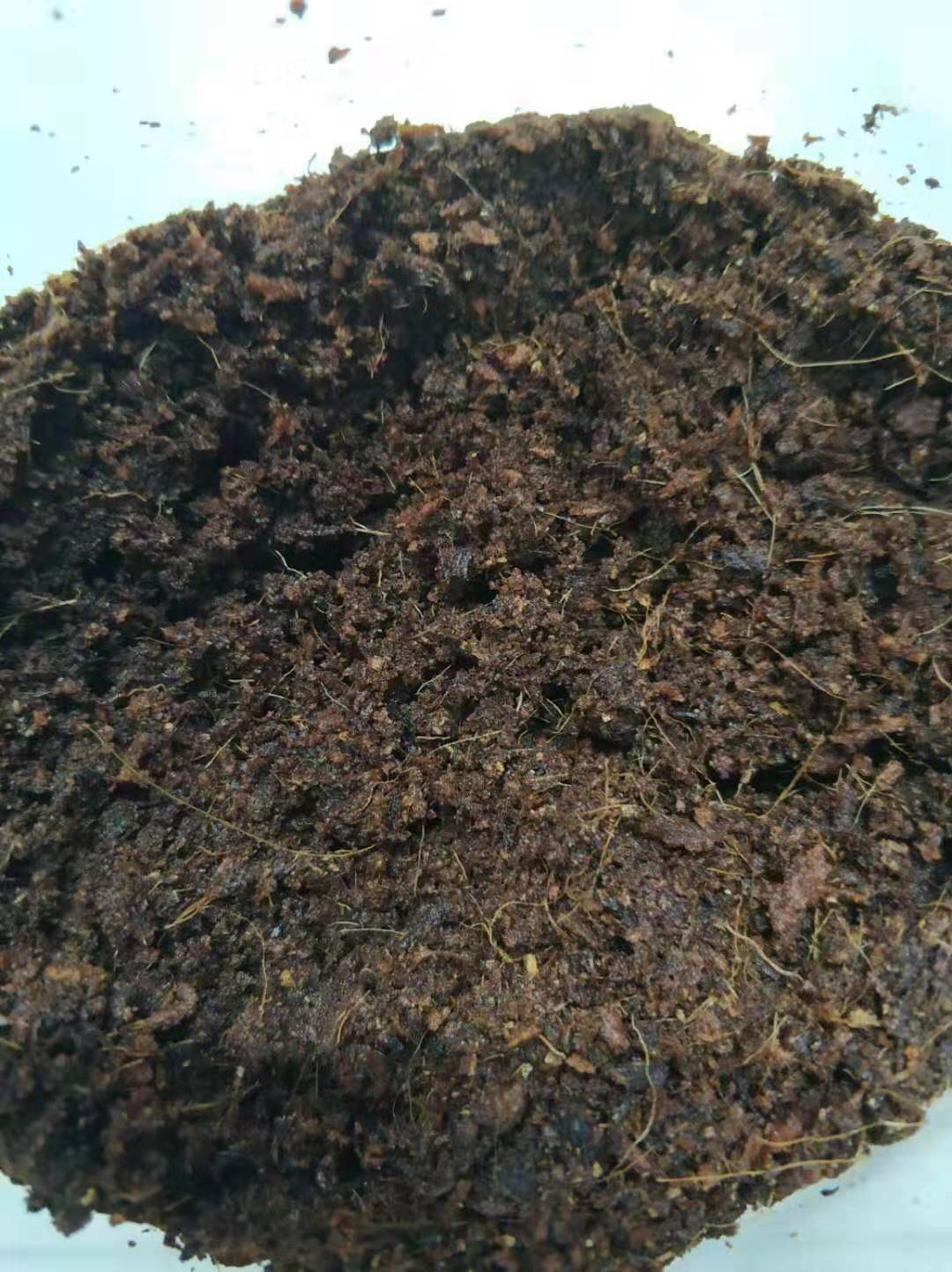 椰土 蟋蟀三尾产卵用椰土   椰砖