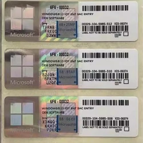微软win10win11专业激活