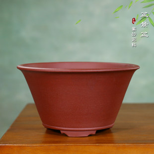 神力紫砂花盆老桩榕树盆景盆特大号圆形斗笠绿植盆景陶瓷兰花花盆