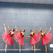 儿童芭蕾舞演出服长纱裙小天鹅舞台服天鹅湖芭蕾舞蹈服纱裙