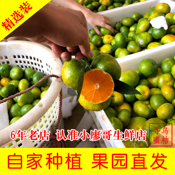 江西赣南寻乌蜜桔现摘鲜果尝鲜试吃无籽薄皮酸甜应季水果5斤包邮