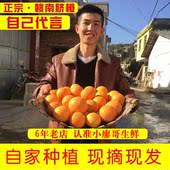 包邮 正宗江西赣南脐橙产地直发新鲜现摘当季 甜橙水果整箱批10斤20