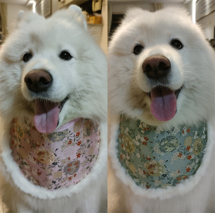 巧手于妈/原创设计 新中式碎花宠物狗狗口水巾大型犬围兜萨摩耶