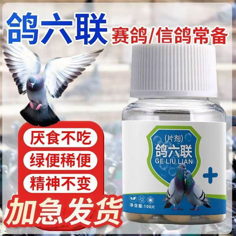鸽用鸽六联鸽子赛鸽信鸽兽效