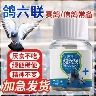 鸽用鸽六联鸽子赛鸽信鸽兽效小预防禽类急救片通用雏鸡蛋禽用鸽子
