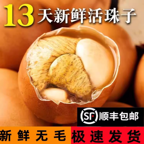【生】40枚新鲜13天活珠子鸡胚蛋喜蛋凤凰蛋 生钢化蛋毛蛋旺鸡蛋S