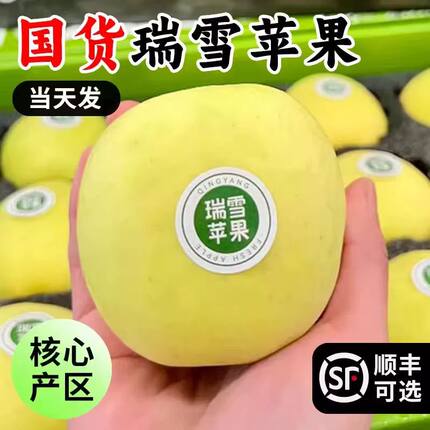 正宗山西瑞雪苹果青苹果脆甜花香味新鲜水果现摘孕妇水果白水直发