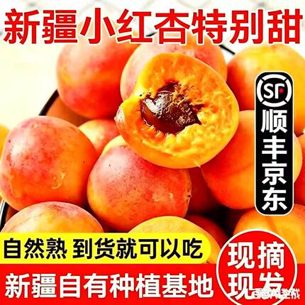 新疆贵妃小红杏胭脂库车黄杏甜杏新鲜应当季孕妇水果现摘小白杏Z