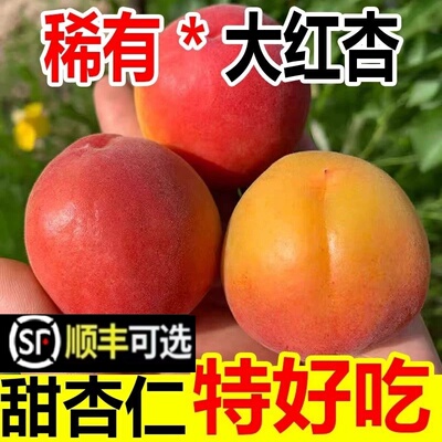 新疆大红杏顺丰大果速发