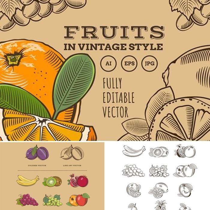 A2687矢量复古水果logo插画线稿香蕉苹果菠萝猕猴桃 AI设计素材,商务/设计服务,设计素材/源文件,淘宝优惠券,粉丝福利购,淘宝优惠卷