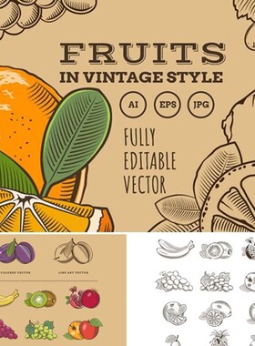 A2687矢量复古水果logo插画线稿香蕉苹果菠萝猕猴桃 AI设计素材