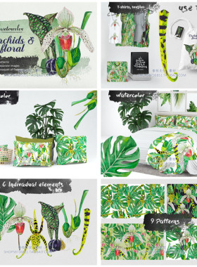 P0531高清PS设计素材 水彩热带植物兰花龟背竹印花包装PNG+PSD