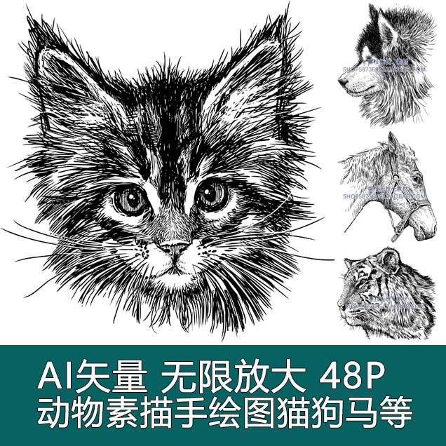 A1093矢量48张动物素描猫咪狗狗马狮子哈士奇手绘线稿 AI设计素材 商务/设计服务 设计素材/源文件 原图主图