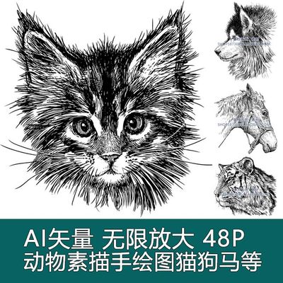 A1093矢量48张动物素描猫咪狗狗马狮子哈士奇手绘线稿 AI设计素材