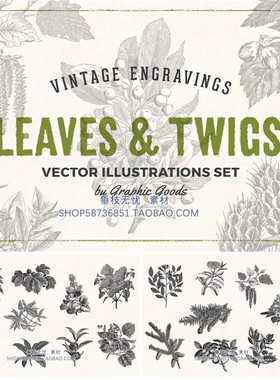 A1103矢量19世纪复原的52张复古植物树叶灌木线稿 AI设计素材+png