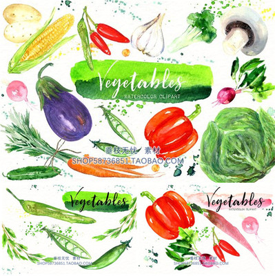 P0595高清PS设计素材 水彩蔬菜玉米土豆辣椒蘑菇大蒜豌豆萝卜png