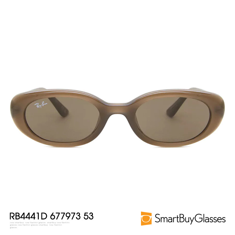 Rayban雷朋太阳眼镜男女窄框圆框时尚中性墨镜RB4441D