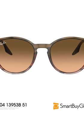 RayBan雷朋/太阳镜 男女情侣款复古花纹墨镜太阳眼镜 RB2204