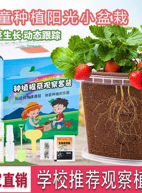 儿童种植小盆栽植物生长观察盒幼儿园小花农种植观察日记植物根系