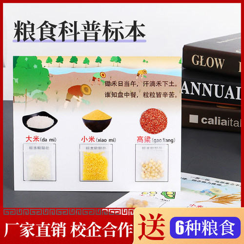 儿童diy手工认识知标本制作科普