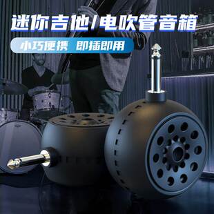 m500户外电吹管专用音箱直插式 电吉他蓝牙连接罗兰小音响扩音器