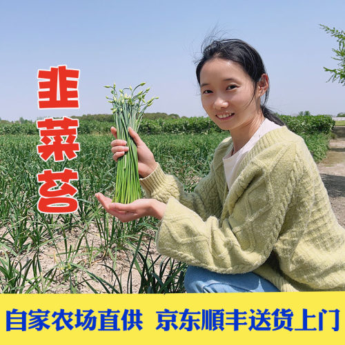 晓玲农场新鲜现摘韭菜苔