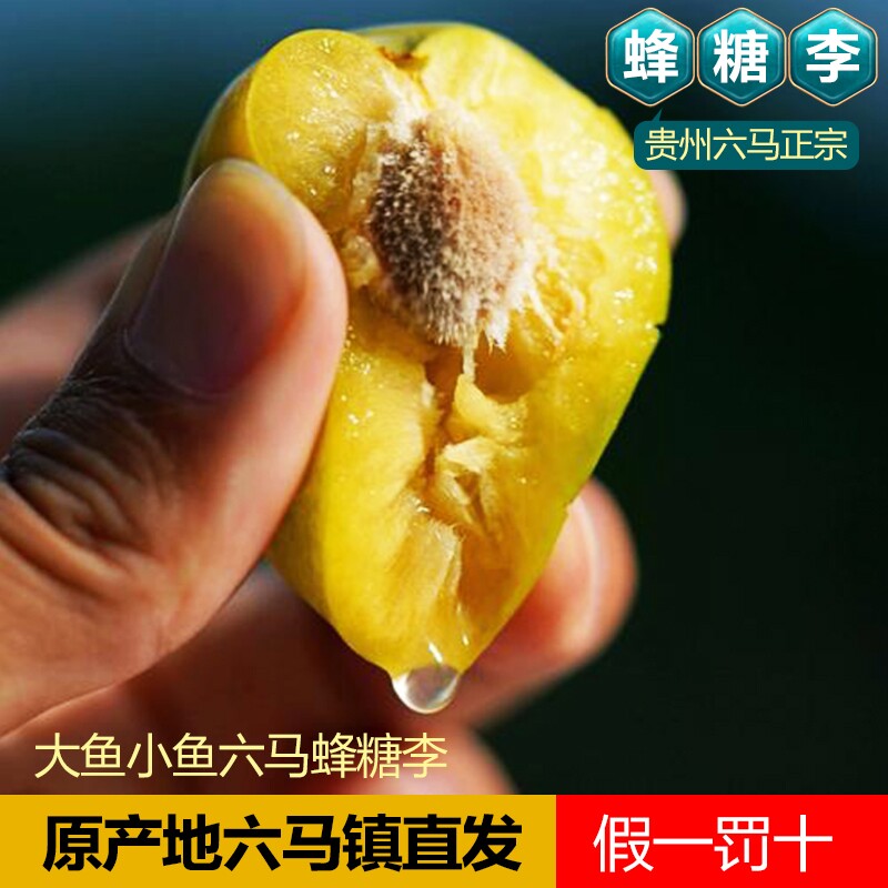 正宗贵州六马蜂糖李味浓香甜如蜜