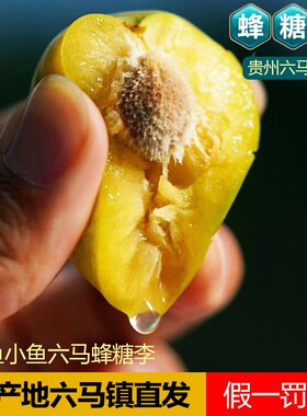 正宗贵州六马蜂糖李味浓香甜如蜜