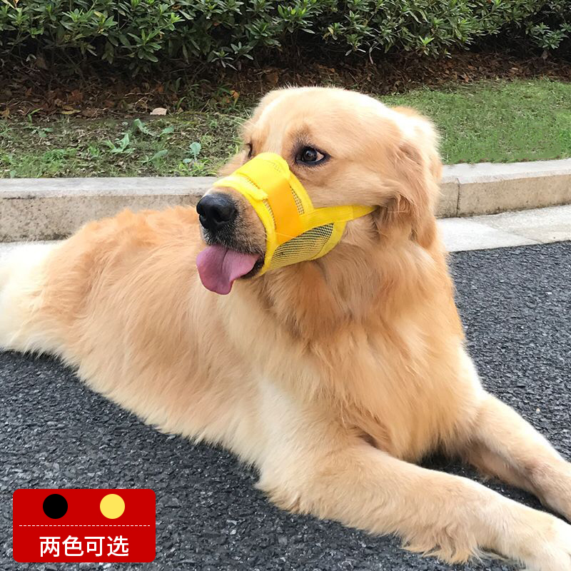 大型犬狗狗嘴套防咬防乱吃金毛拉布拉多柯基外出魔术贴防挣脱口套属于什么档次？