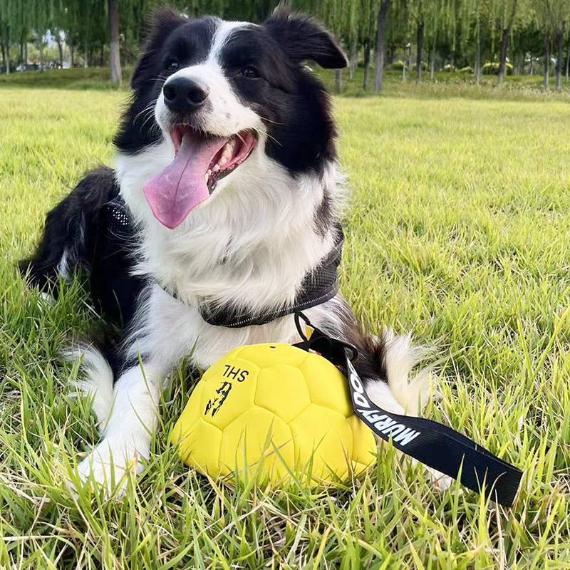 CSV宠物红色训犬德牧马犬训练耐咬充气皮球牛皮足球皮革金毛玩具