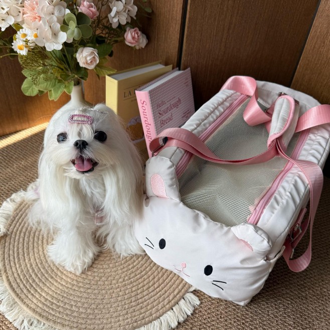 FLuffybaby旅行宠物包单肩斜挎猫包式热卖宠物包韩国热卖猫包