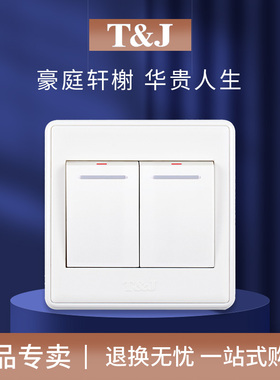 T&J天基华庭二开单控大板开关白色家用86型