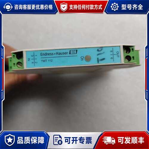 议价E+H TMT112-A1KBA恩德斯豪斯DIN导轨式温可维修
