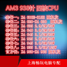 AMD X4 620 630 635 640 645 X4 925 945 955 965 610 938针四核