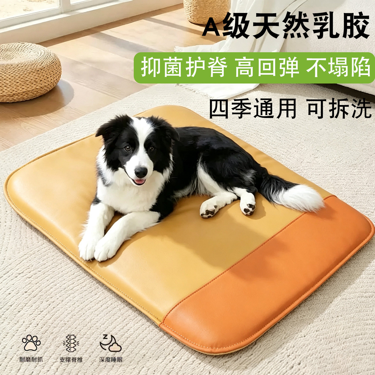 乳胶狗窝四季通用可拆洗狗床防水耐抓犬用大中小型犬宠物睡觉垫子