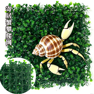 寄居蟹攀爬网格仿真米兰草植物墙草皮背景墙面塑料假草坪造景装饰