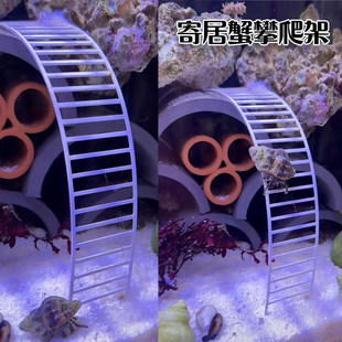 寄居蟹攀爬架爬宠加密可裁剪爬架爬台爬梯玩具拱桥饲养箱造景装饰