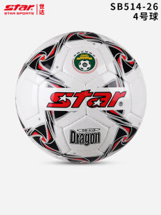 Star世达足球3号幼儿儿童小学生4号青少年5号训练手缝专用球SB513