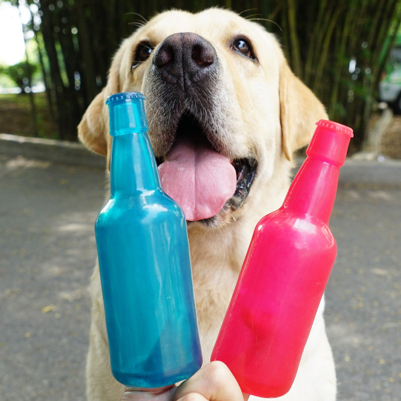 狗狗玩具耐咬大型犬宠物用品金毛萨摩拉布拉多泰迪幼犬洁齿狗玩具 - 实物图