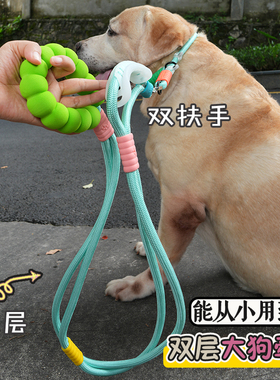 加粗加厚大狗牵引绳防爆冲脖圈拉布拉多P链大型犬结实狗链 双层绳