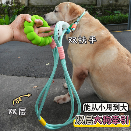 加粗加厚大狗牵引绳防爆冲脖圈拉布拉多P链大型犬结实狗链 双层绳