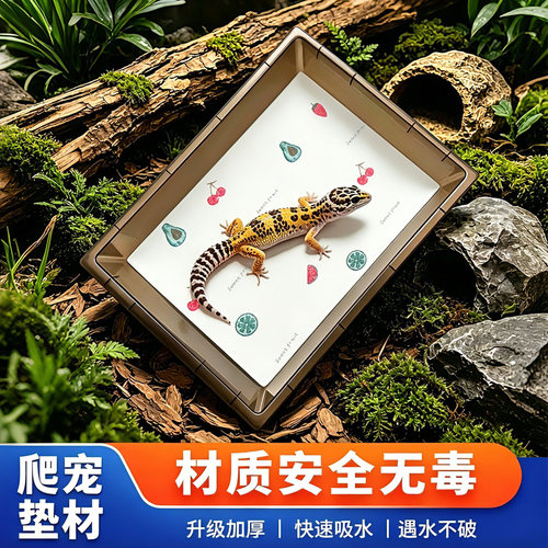 爬宠无纺布垫材加厚守宫蜥蜴垫纸