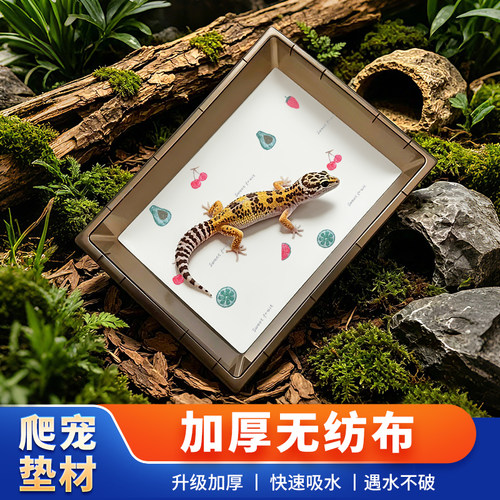 爬宠无纺布垫材加厚守宫蜥蜴垫纸
