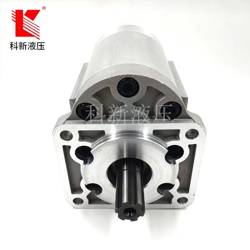 CBNZQ-F580-BLH齿轮泵