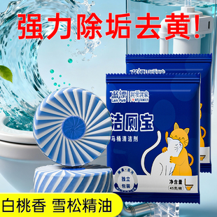 蓝漂马桶洁厕宝厕所清洁剂块装放水箱除臭去异味留香自动蓝泡泡
