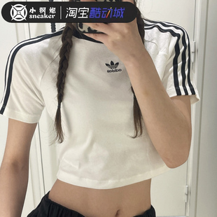 运动T恤IU2532 条纹复古高腰修身 IP0662 经典 Adidas三叶草女子短袖